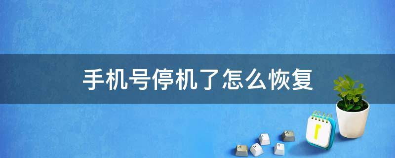 Telegram手机号停机了怎么登录-telegram很久没登会注销账号吗?