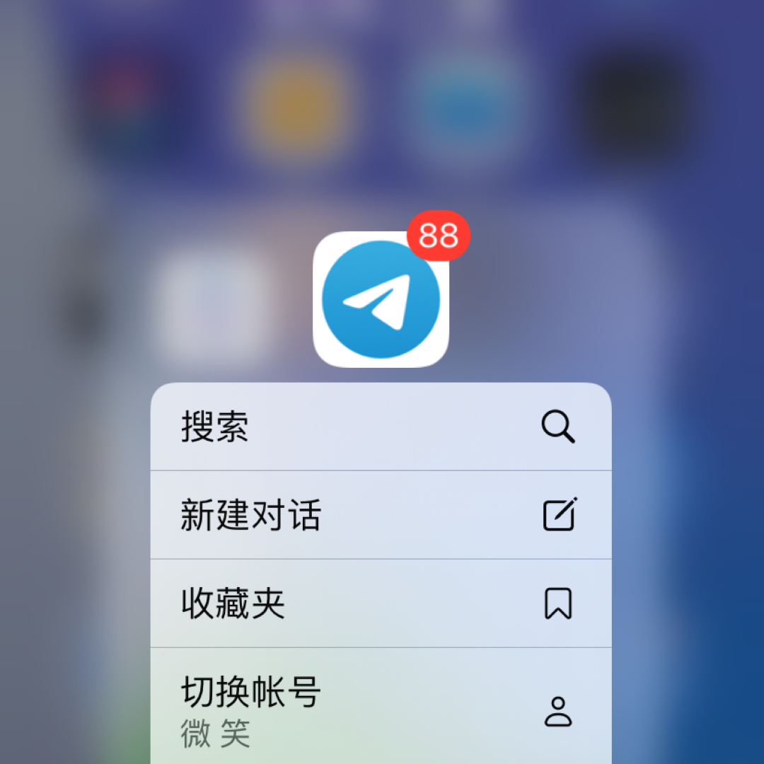 聊天软件国外飞机下载中文版-国外聊天软件飞机怎么下载中文包