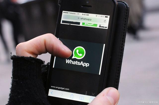 whatsapp国内手机为什么收不到验证码-whatsapp国内手机为什么收不到验证码怎么操作