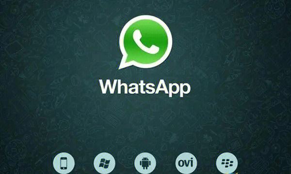 whatsapp中国手机号-whatsapp中国手机号无法登录
