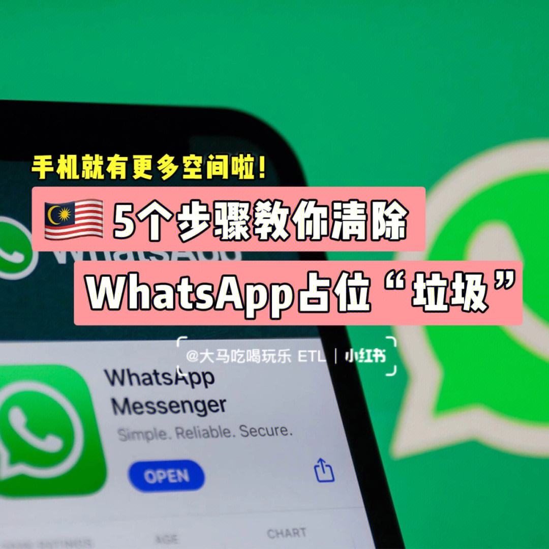 whatsapp没有支付功能-whatsapp为什么没有网络