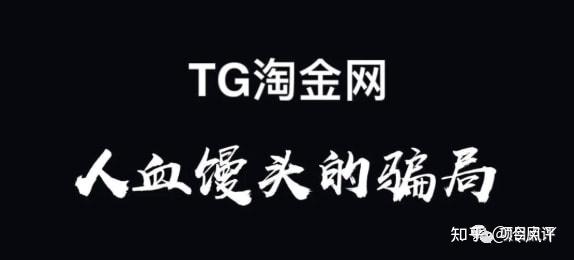 关于好玩的TG群的信息