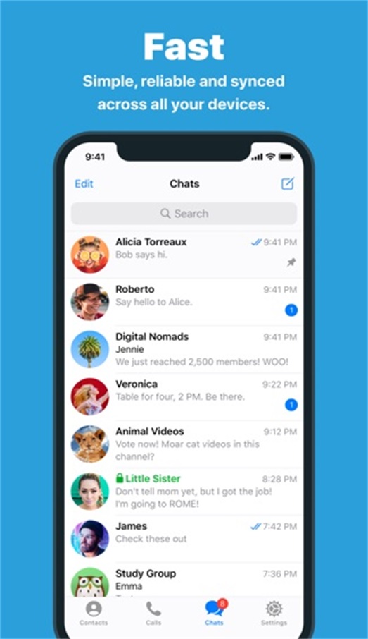 ios纸飞机中文版-ios纸飞机中文版怎么设置汉化