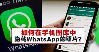 包含WhatsApp不用翻墙也能用吗的词条