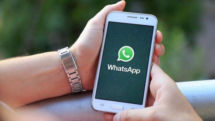 whatsapp苹果官方网下载-whatsapp苹果版官方网下载