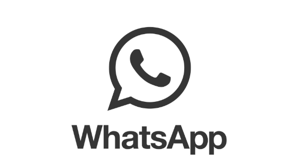 包含WhatsApp2023最新版本安卓下载的词条