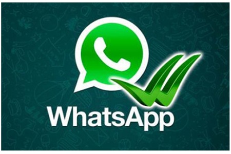 whats怎么读标准发音-whats英语怎么读音发音