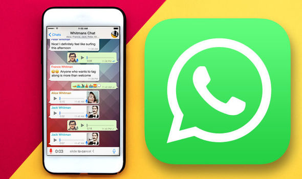 whatsappbusiness最新版-whatsappbusiness最新版下载安装