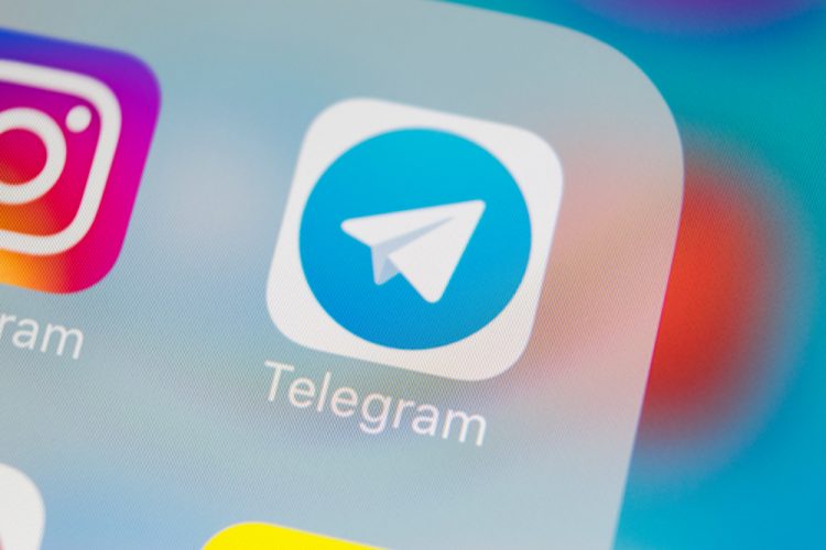 telegeam群组-telegeam群组分享