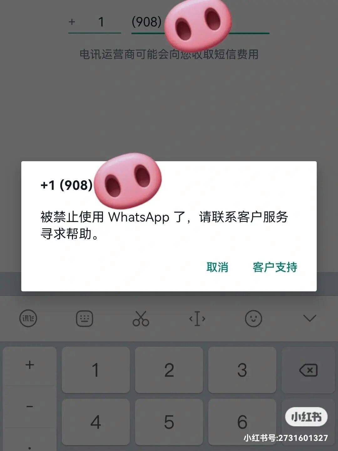 安卓手机不能用whatsapp-安卓手机不能用蓝牙传给苹果手机吗