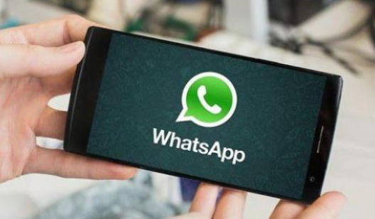 whatsapp国内代理软件-whatsapp和国内的哪种软件一样