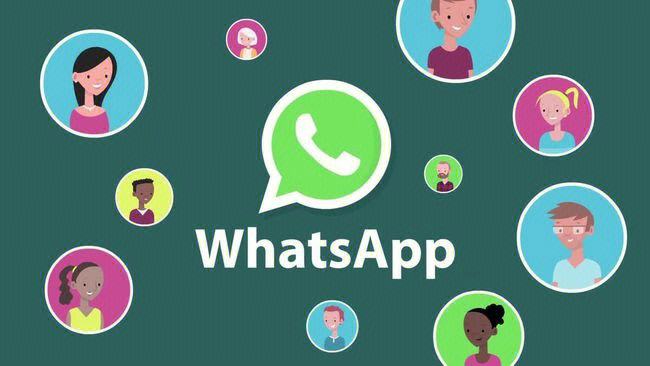 whatsapp怎样读-安卓手机怎样装WhatsApp