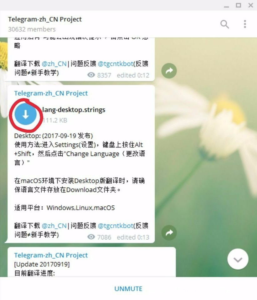 telegeram电报论坛-电报telegeram加速器