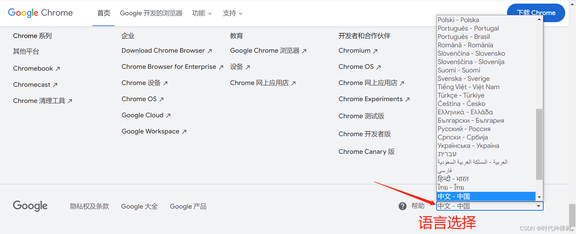 google浏览器电脑版下载-google浏览器电脑版官方下载