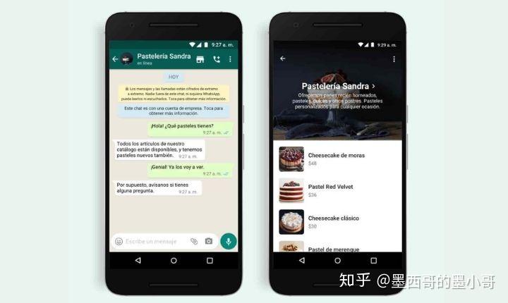 WhatsAppbusiness-whatsappbusiness下载