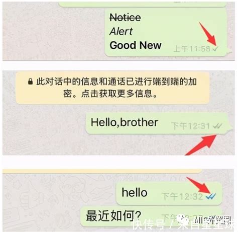 whatsapp国内用不了吗-为什么国内用不了WhatsApp