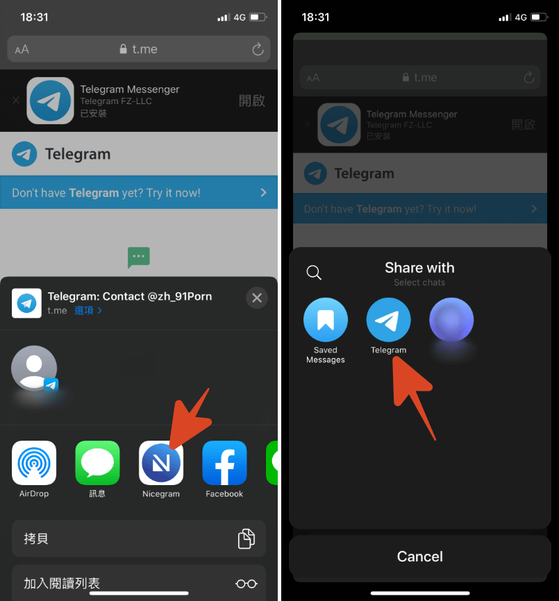 iOStelegreat的简单介绍