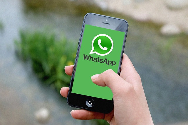 whatsapp咋读-whatsapp怎么读英文