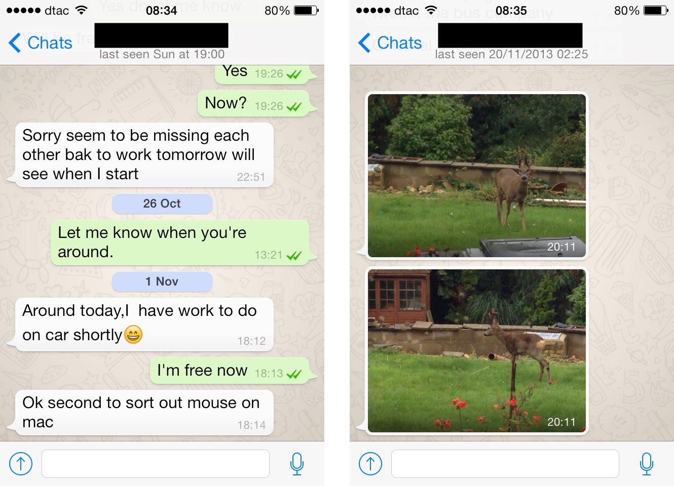 whatsapp回国后怎样才可以用-回国后whatsapp需要换成中国电话吗
