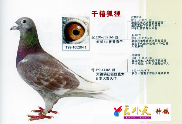 红狐狸红酒系列-红狐狸红酒系列介绍