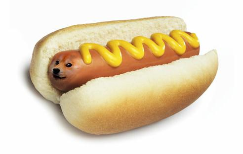 doge-doge币今日价格行情