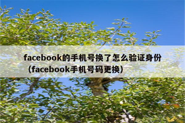 book收不到验证码-笔记本为什么获取不了验证码