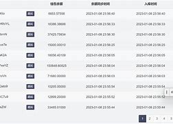 钱包地址查询usdt余额-怎么查钱包地址有多少usdt
