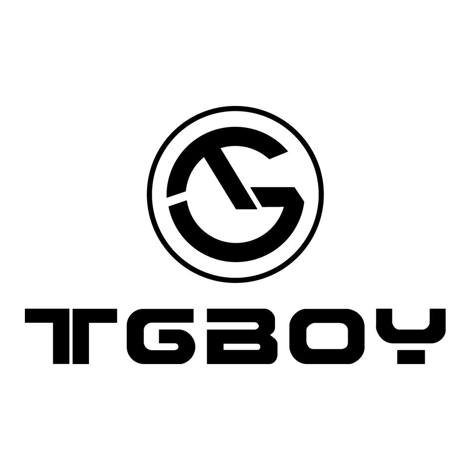 TG-天官赐福小说全文免费阅读