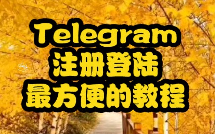 纸飞机收不到信息验证码-纸飞机收不到验证码怎么登录