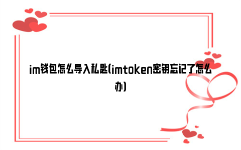 im钱包使用方法-im钱包官网tokenim