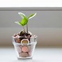 格雷欣法则的名词解释-简述格雷欣法则的内容并举例