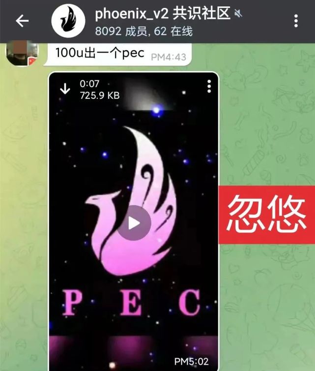 pec币-pec币上交易所了吗