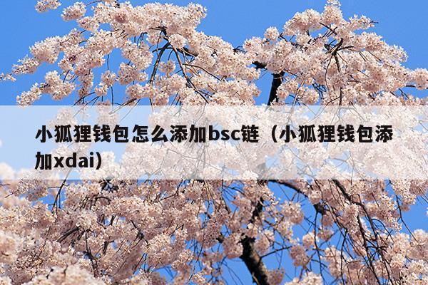 中文手机版小狐狸钱包安装教程-中文手机版小狐狸钱包安装教程视频