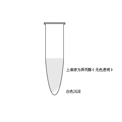 trizol牌子,trizol弄到皮肤上怎么处理
