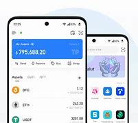 TokenPocket官网,国际抖音tiktok官网入口