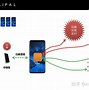 ellipal创始人,elililly医药公司