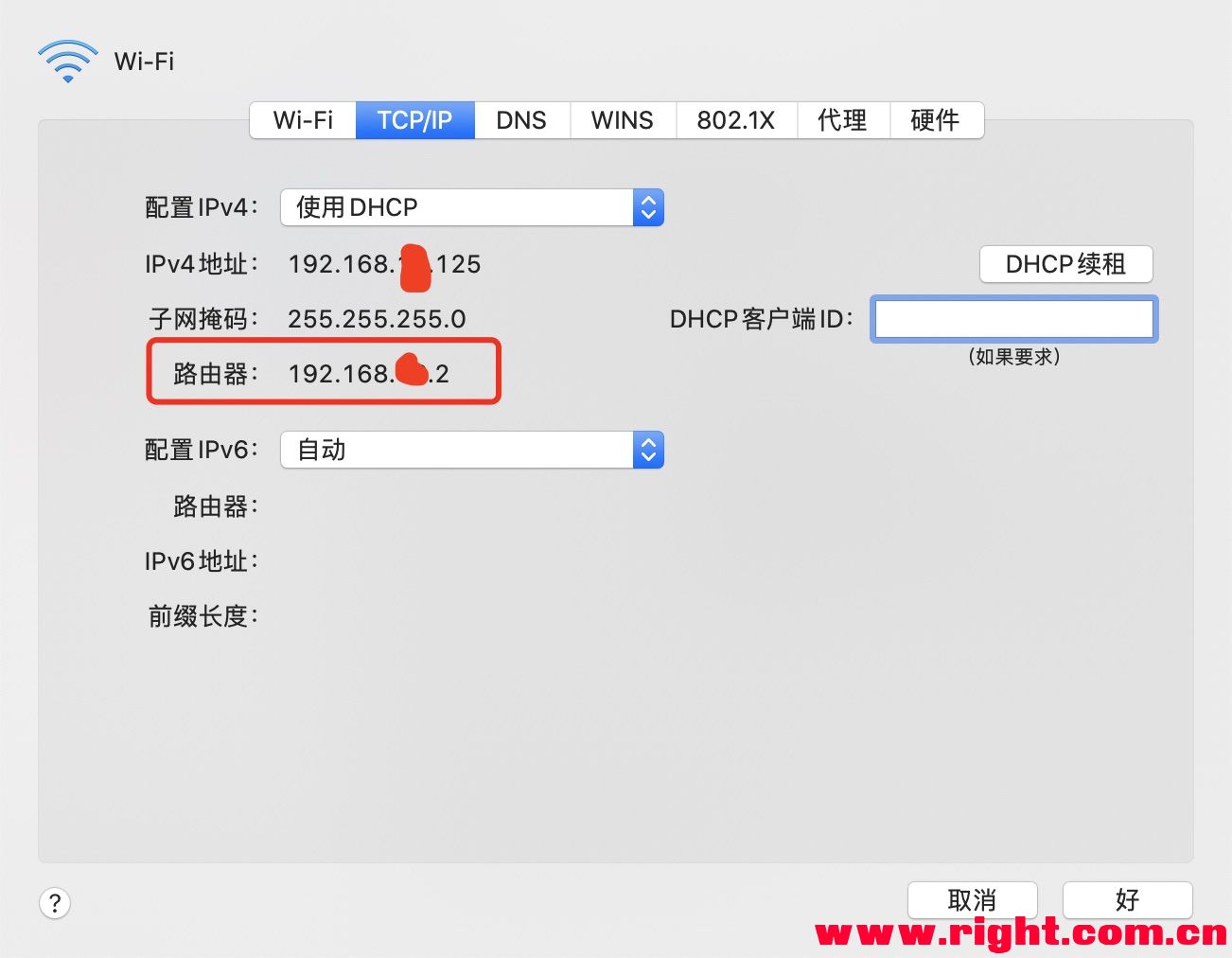 手机挂梯子的软件哪个好,手机挂梯子的软件哪个好一点