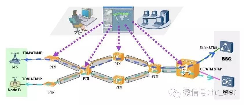 ptn币,派币最新最真实报道