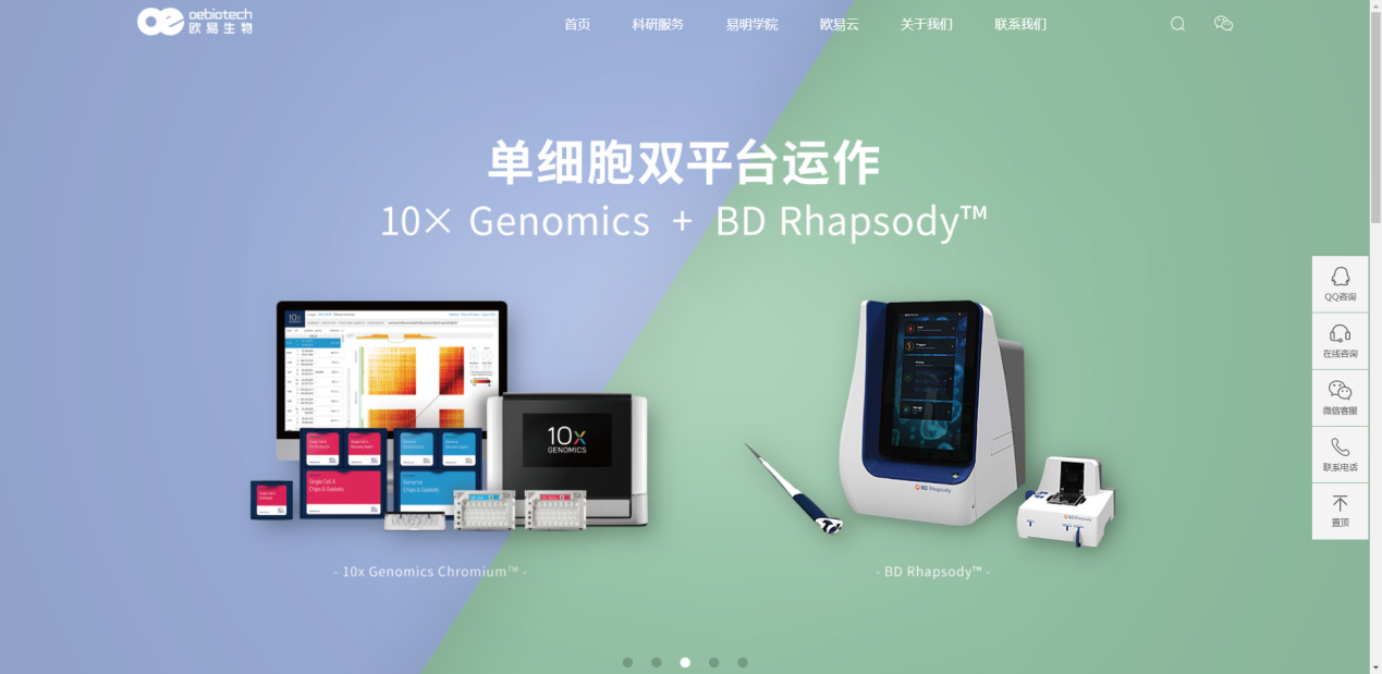 oe国际交易平台,oe国际交易平台合法吗