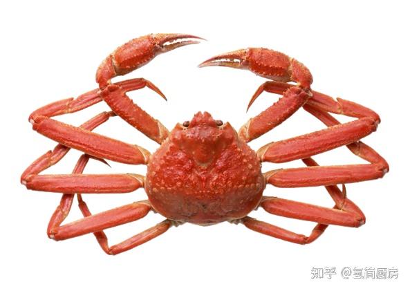 苹果不能下载螃蟹吗知乎,苹果不能下载螃蟹吗知乎怎么下载