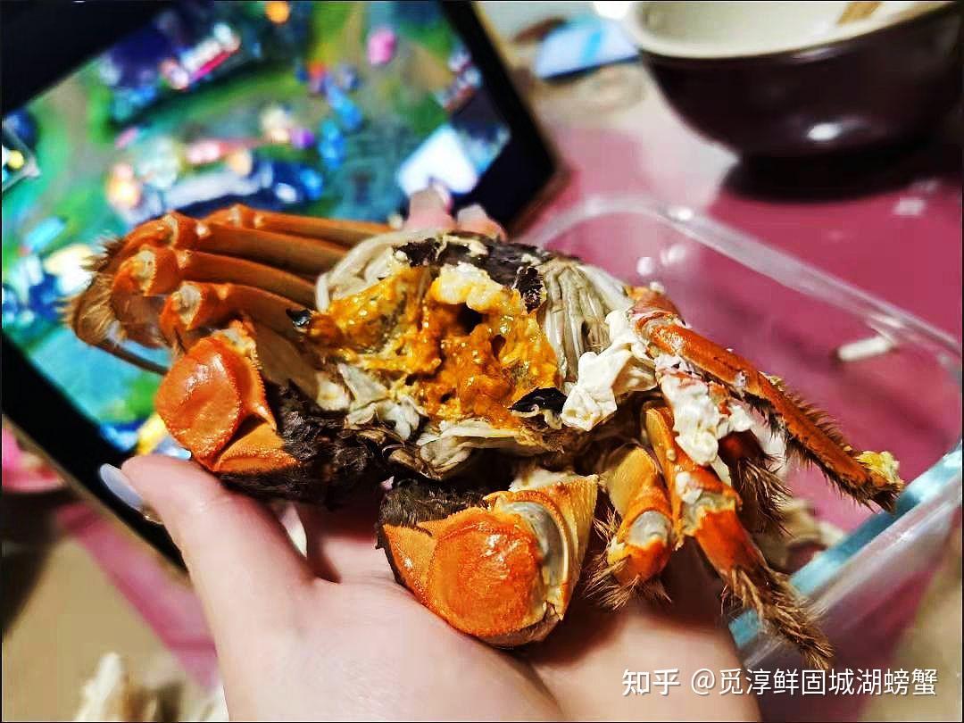 苹果不能下载螃蟹吗知乎,苹果不能下载螃蟹吗知乎怎么下载