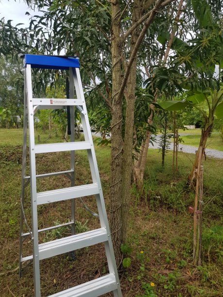 苹果挂梯子怎么弄,苹果挂梯子怎么弄手机