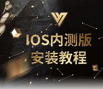 2023年Vtoken平台,2020年vtoken发展前景