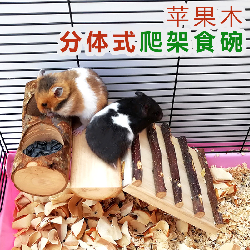 苹果手机的免费梯子,苹果手机免费梯子推荐