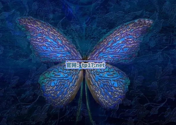 tokenpocket苹果,tokenpocket钱包下载不了