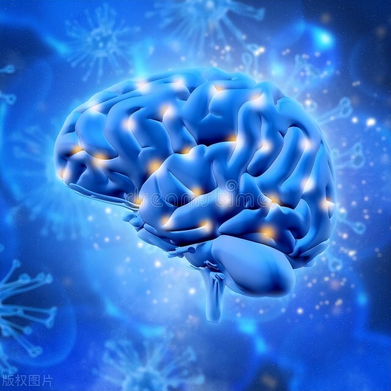 电报性语言是小脑,电报式语言的特征是什么?