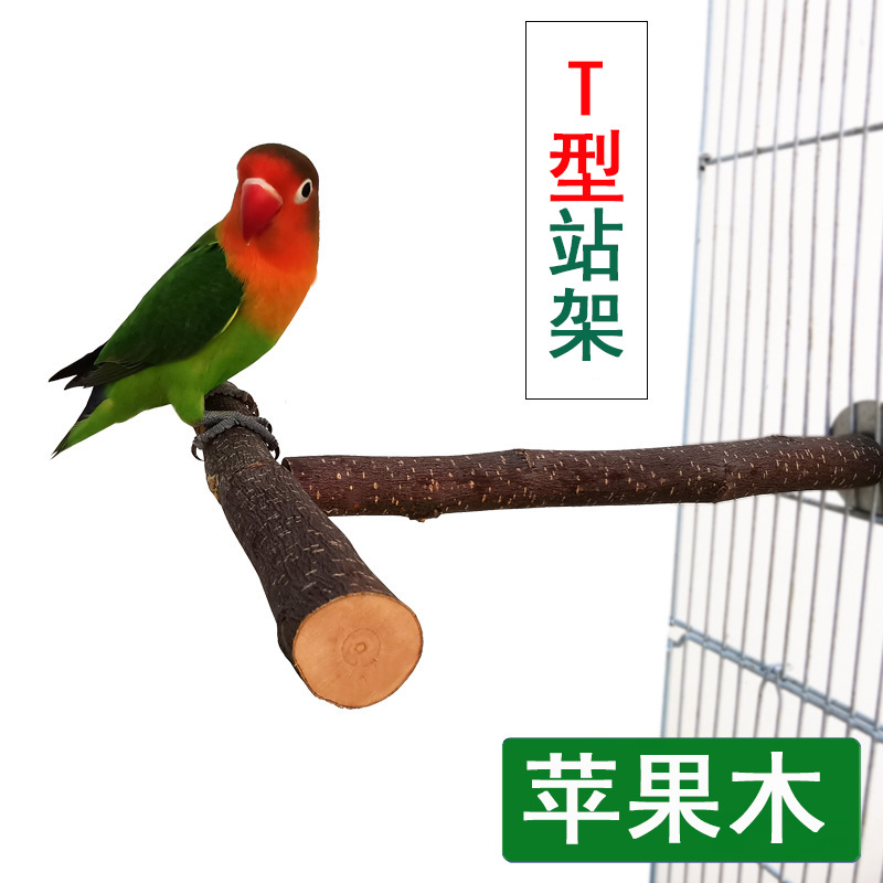 iphone挂梯子教程,iphone 怎么挂梯子
