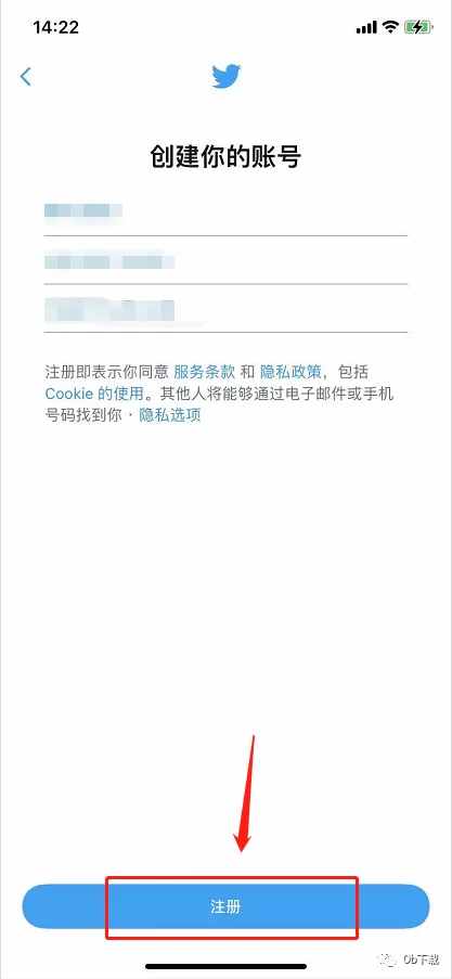 国内上twitter用什么加速器太平网,国内上twitter用什么加速器太平网好用