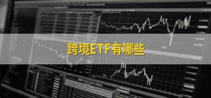 虚拟币t+0,虚拟币t+0通道