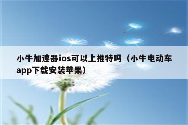 苹果手机梯子加速器,苹果手机梯子加速器怎么用